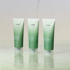 Heartleaf Quercetinol Pore Deep Cleansing Foam