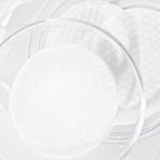 Ji Woo Gae One Step Body Brightening Pad