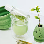 Phyto Brew Matcha Ampoule