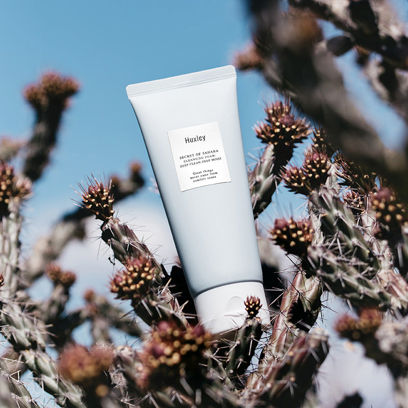 Cleansing Foam; Be Clean, Be Moist