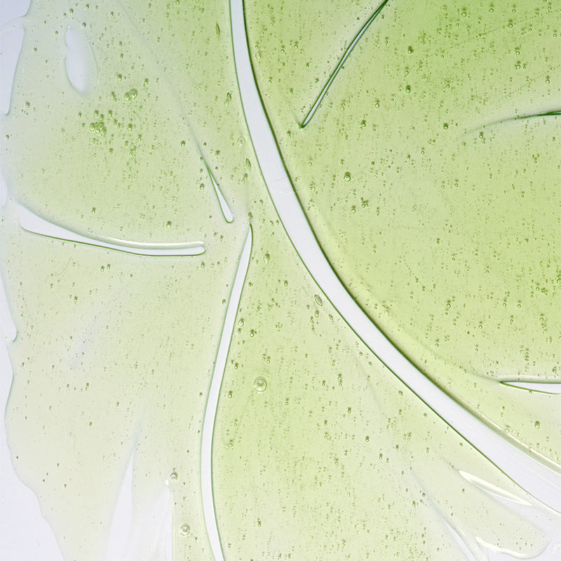 Herbalism Shampoo