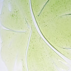 Herbalism Shampoo