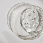 Dandelion Feminine Gel