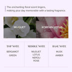 Seoul Edition Hand Cream Trio Set