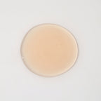 Kombu Balancing Ampoule Toner